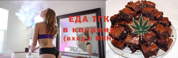 индика Елизово