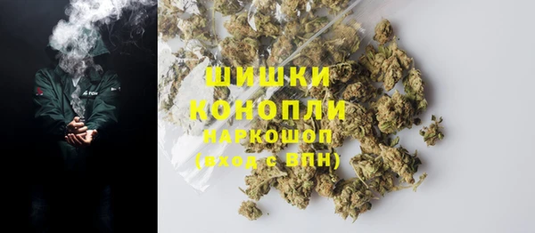 стафф Ельня