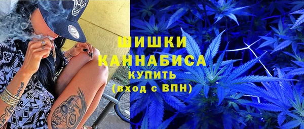 индика Елизово