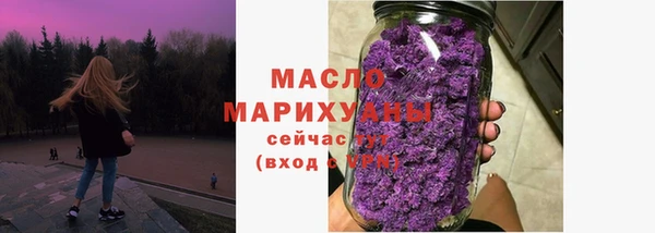 индика Елизово