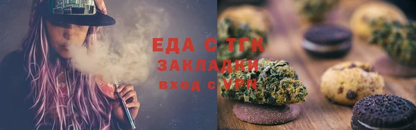 индика Елизово