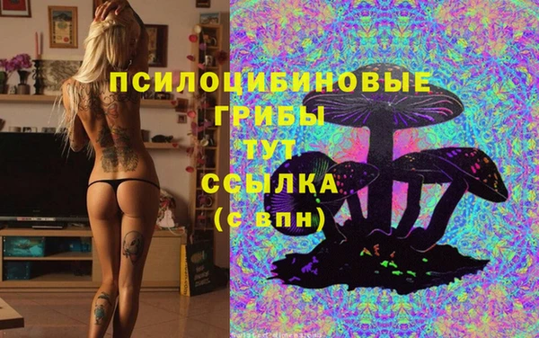 мдма Заводоуковск