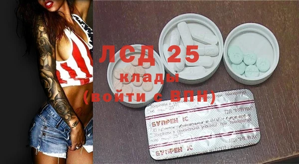индика Елизово