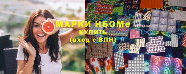 индика Елизово