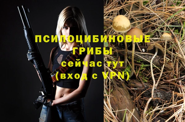 стафф Заволжье