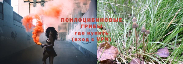 стафф Ельня