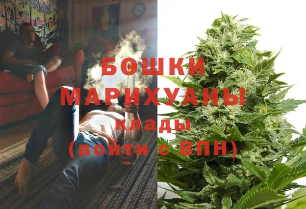 мдма Заводоуковск