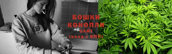 индика Елизово