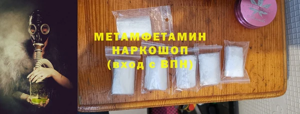 индика Елизово